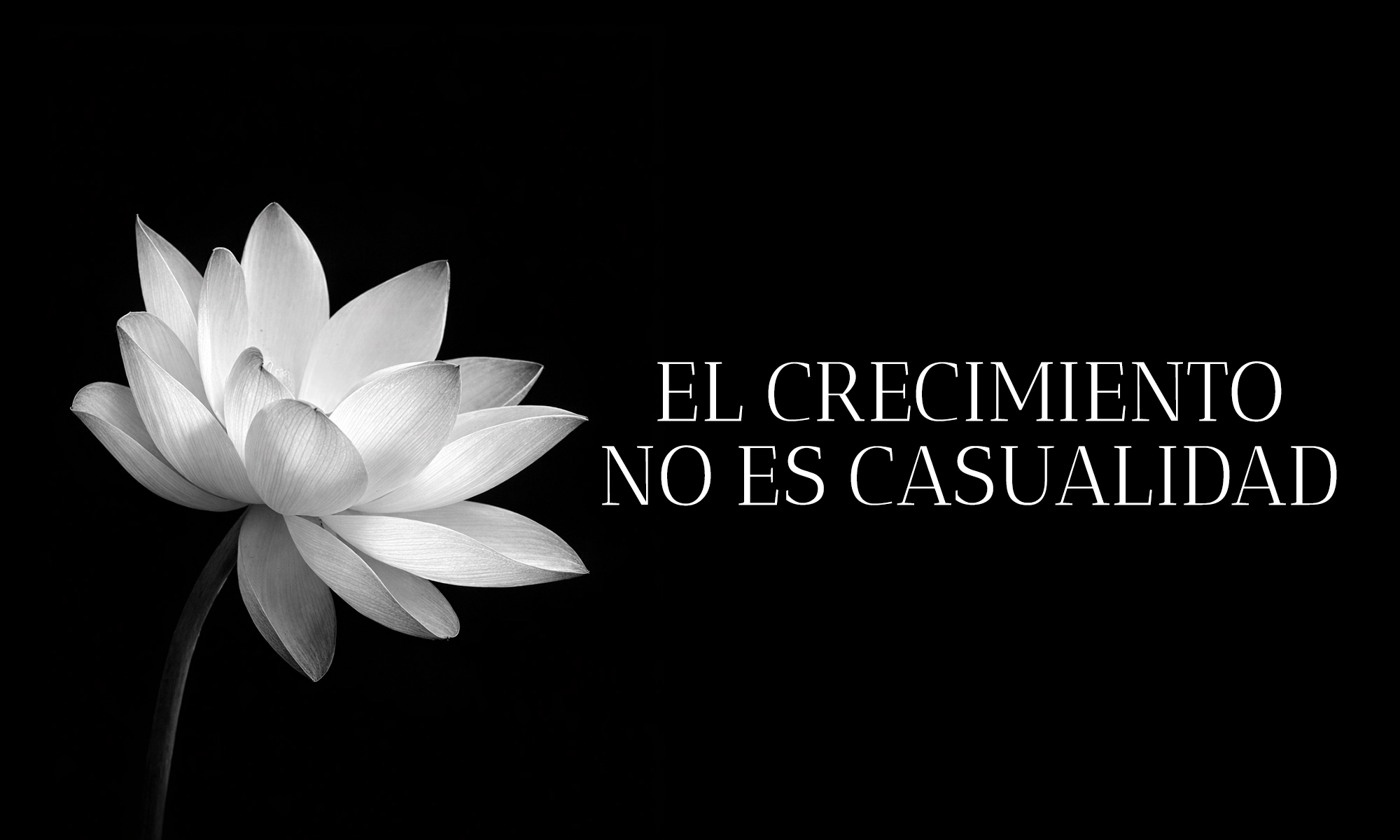 Los clientes bien gestionados generan negocios sostenibles.